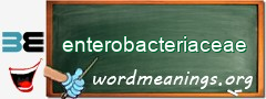 WordMeaning blackboard for enterobacteriaceae